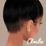 Charlie Back Opacity Map